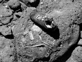 Old Shoe at Spiral Jetty